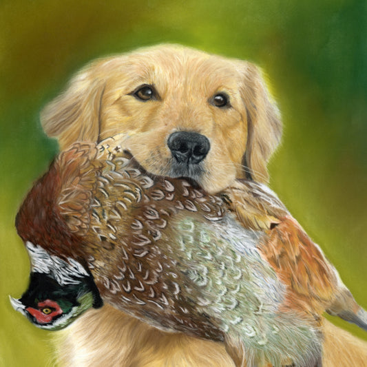 Golden retriever with pheasant