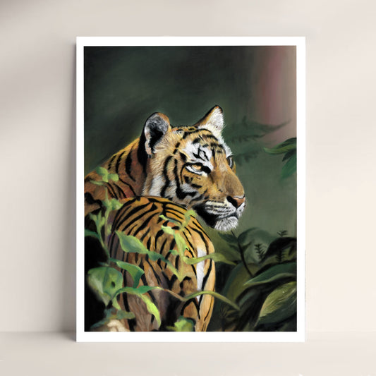 Tiger limited edition print