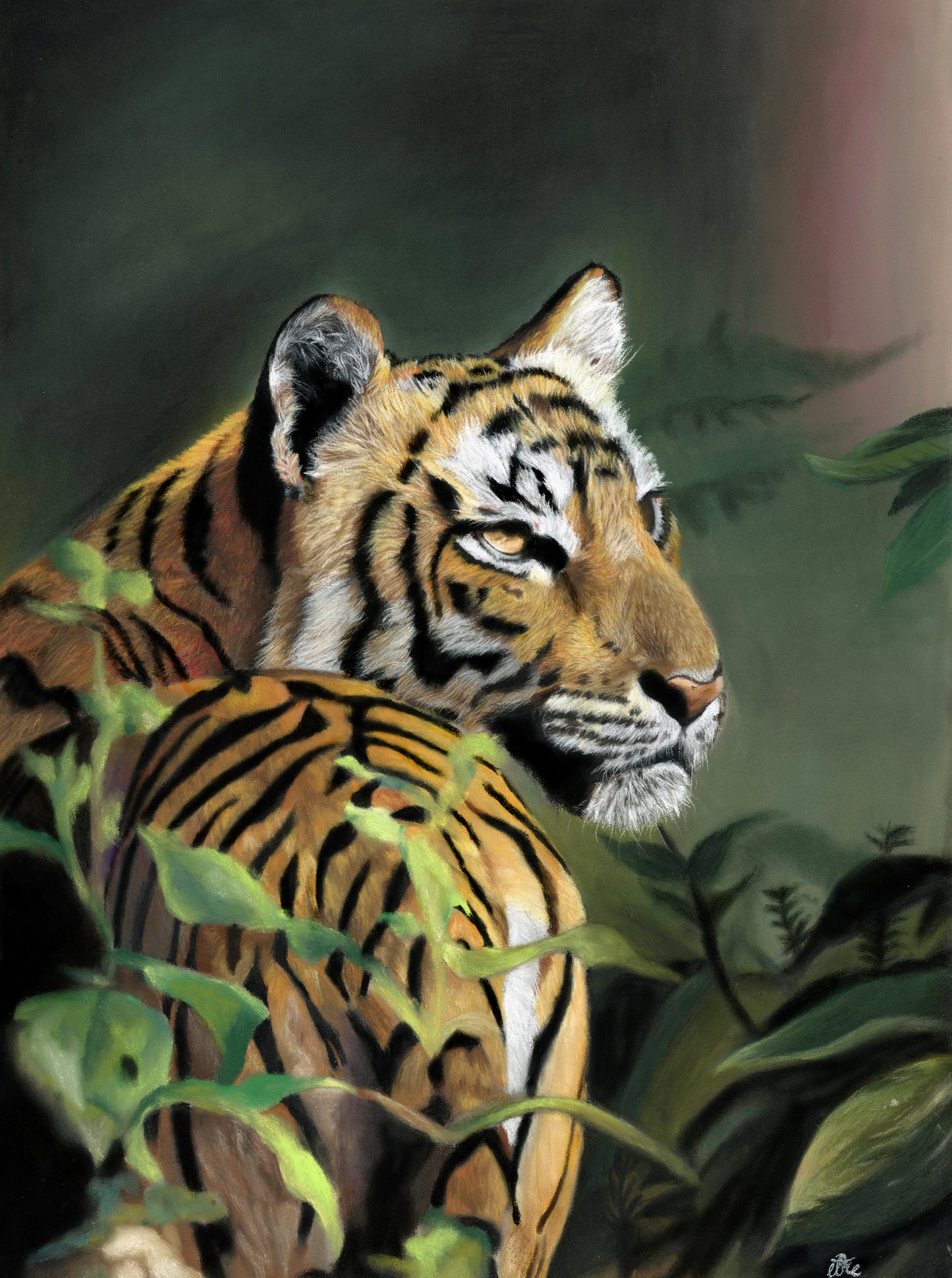 Tiger original portrait