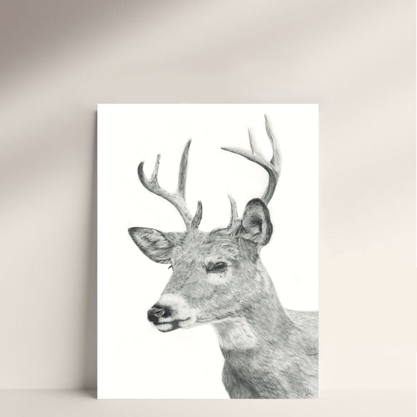 stag limited edition print