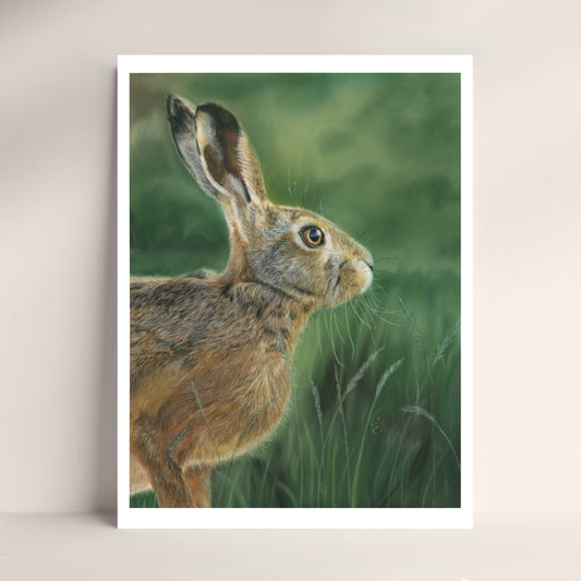 ‘Hare’